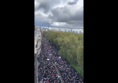 لندن تنتفض لصالح فلسطين